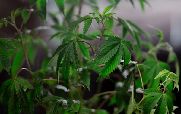 QQ20230823105253 QQ20230823105253