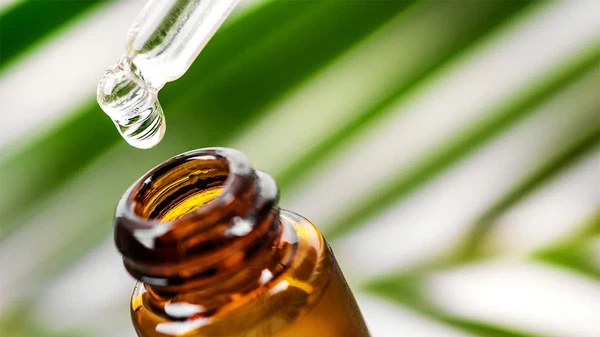 EssentialOil1296x728-header-1296x728 EssentialOil1296x728-header-1296x728