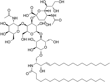 GM2ganglioside GM2ganglioside
