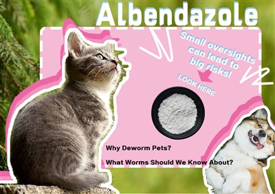 Miért dekorm háziállatok, milyen férgekről tudnánk tudnunk?