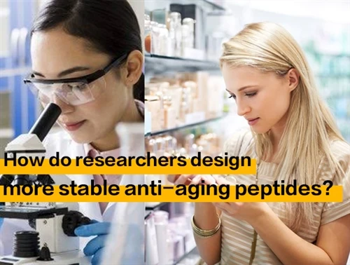 Hogyan terveznek a kutatók stabilabb öregedésgátló{0}}peptideket?