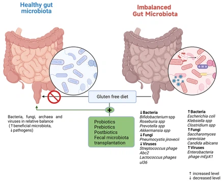 60Loperamide HCI 60Loperamide HCI