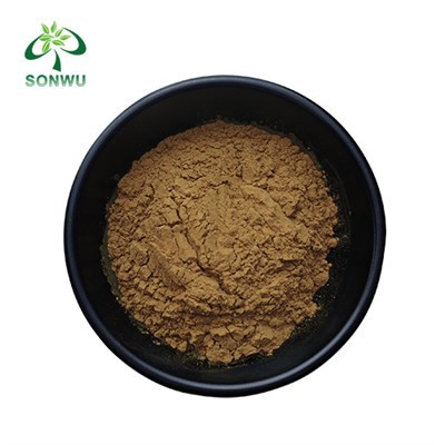 Oroszlán sörénykivonat ömlesztett